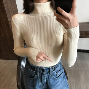 2020 Autumn Winter Thick Sweater