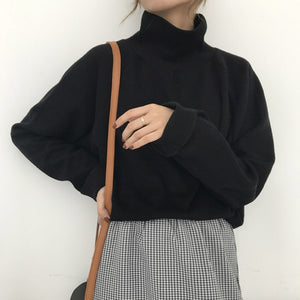 AECU11 Turtleneck sweater