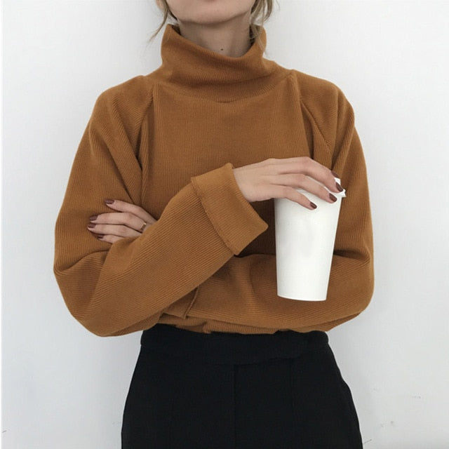 AECU11 Turtleneck sweater